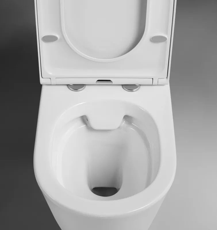 Difference Between Rimless and Box-Rim Toilets