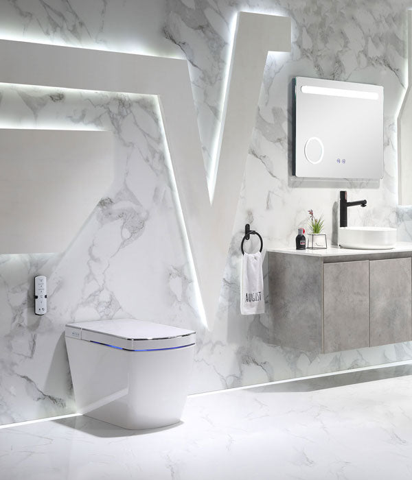 toilet bidet