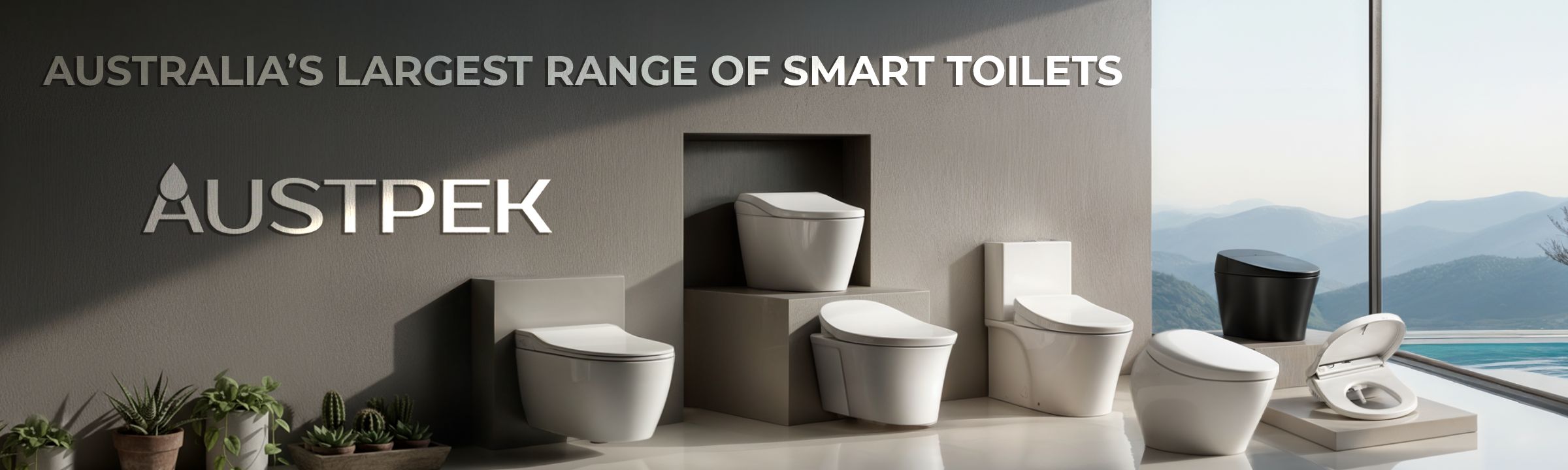 Smart Toilets