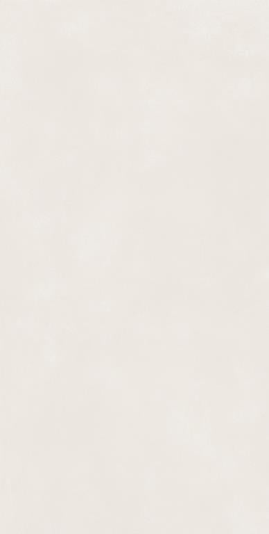 MUSES KOLOR WHITE MATTE 600X1200MM RECTANGULAR TILE (PER BOX)