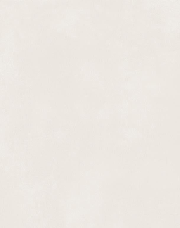 MUSES KOLOR WHITE MATTE 600X600MM SQUARE TILE (PER BOX)