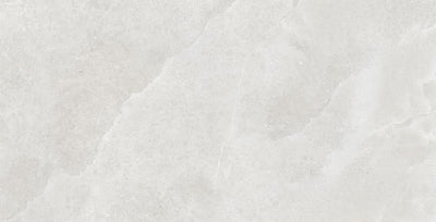 MUSES ONYX LIGHT GREY POLISHED 300X600MM RECTANGULAR TILE (PER BOX)