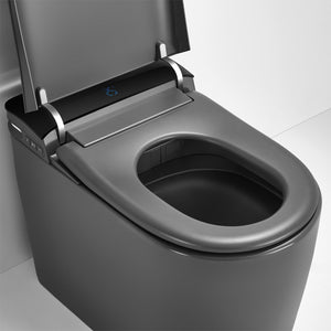 Aquaperla Instant Heating Smart Toilet with Remote Control and Side Control in Matte Grey