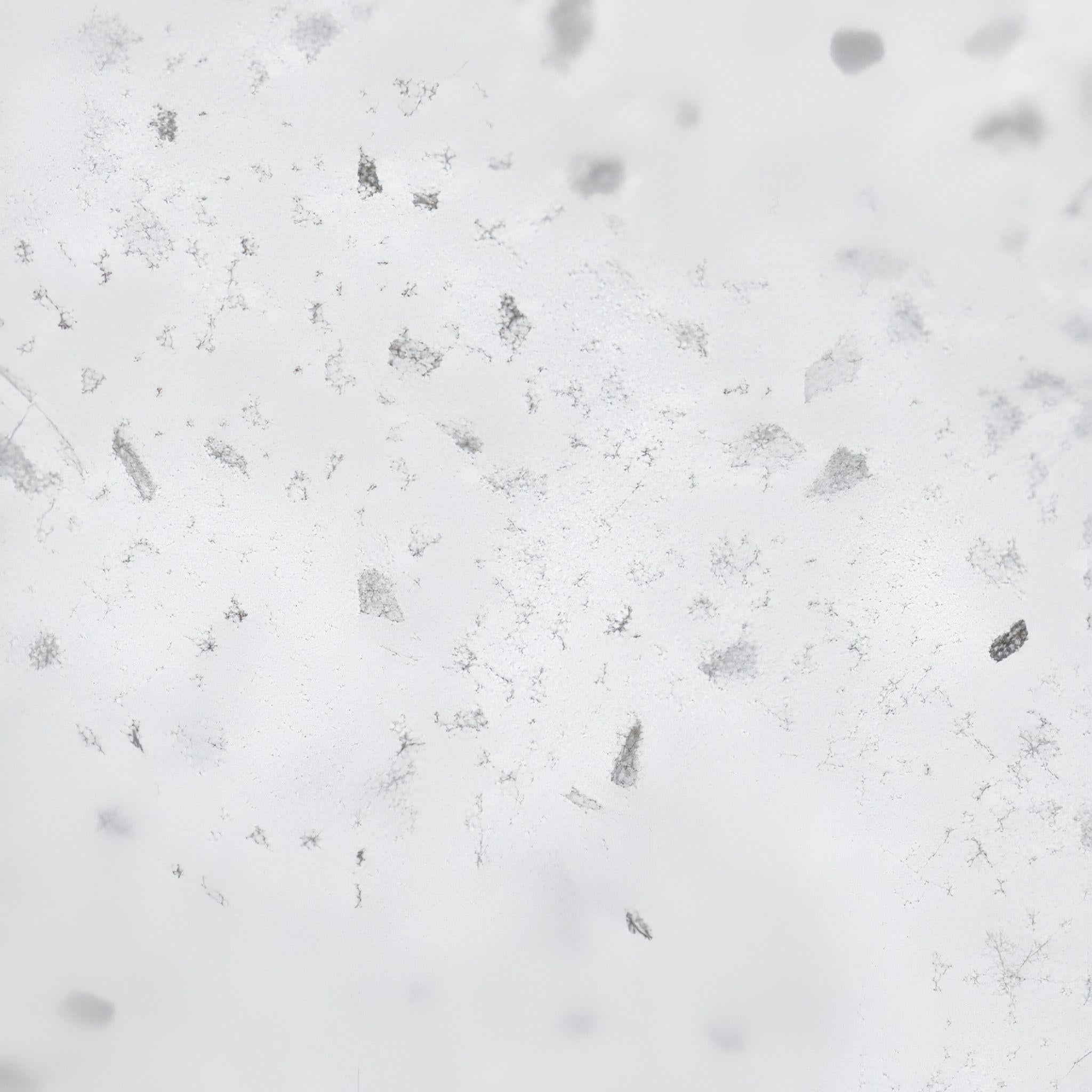 POSEIDON SPECKLE WHITE STONETOP SAMPLE