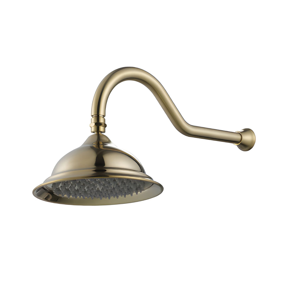 MODERN NATIONAL BORDEAUX SHOWER ARM WITH HEAD 505MM BRUSHED BRONZE