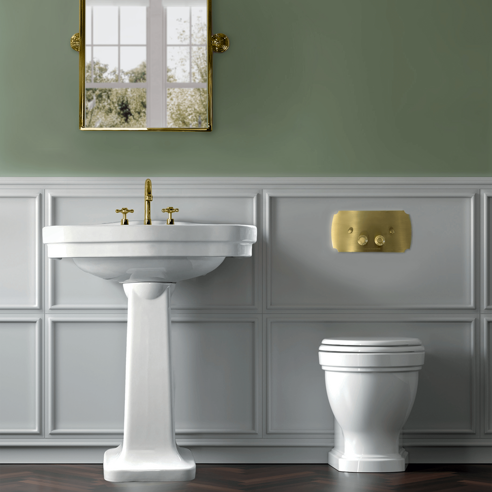 TURNER HASTINGS CLAREMONT WALL FACED PAN WITH GEBERIT IN WALL CISTERN & TRADITIONAL FLUSH PLATE