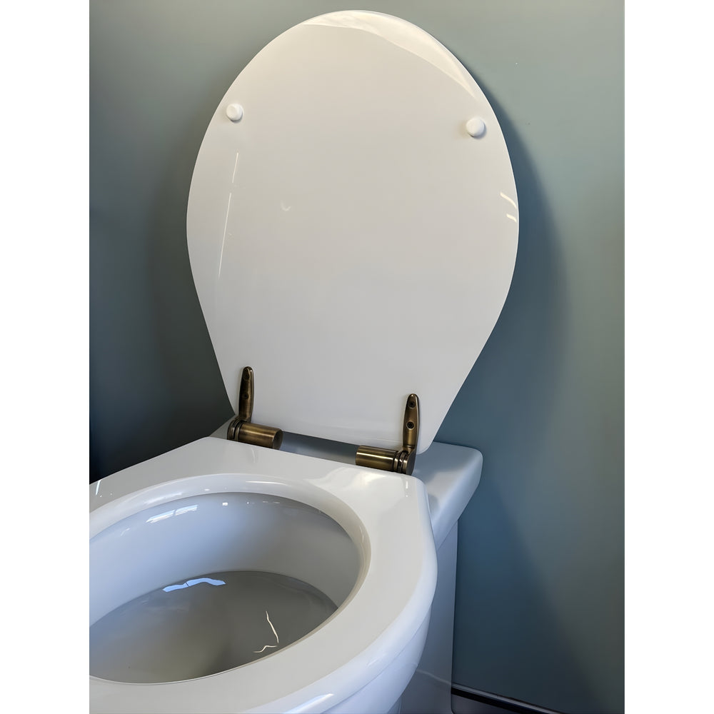 TURNER HASTINGS CLAREMONT RIMLESS FLOOR MOUNTED PAN AND SEAT WITH GEBERIT IN-WALL CISTERN AND TRADITIONAL BRUSHED BRASS FLUSH PLATE PACKAGE GLOSS WHITE