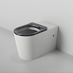 ZUMI CARA CARE WALL FACED FLOOR PAN WITH PNEUMATIC IN WALL CISTERN & PNEUMATIC IN WALL FLUSH PLATE PACKAGE GLOSS WHITE