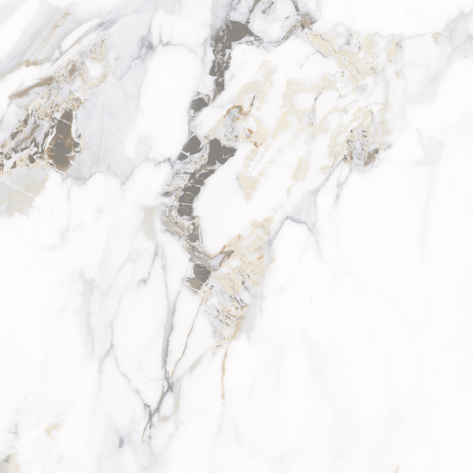 ELITE IMPORTERS CALACUTTA ORO MATTE TILE SAMPLE (1PC)