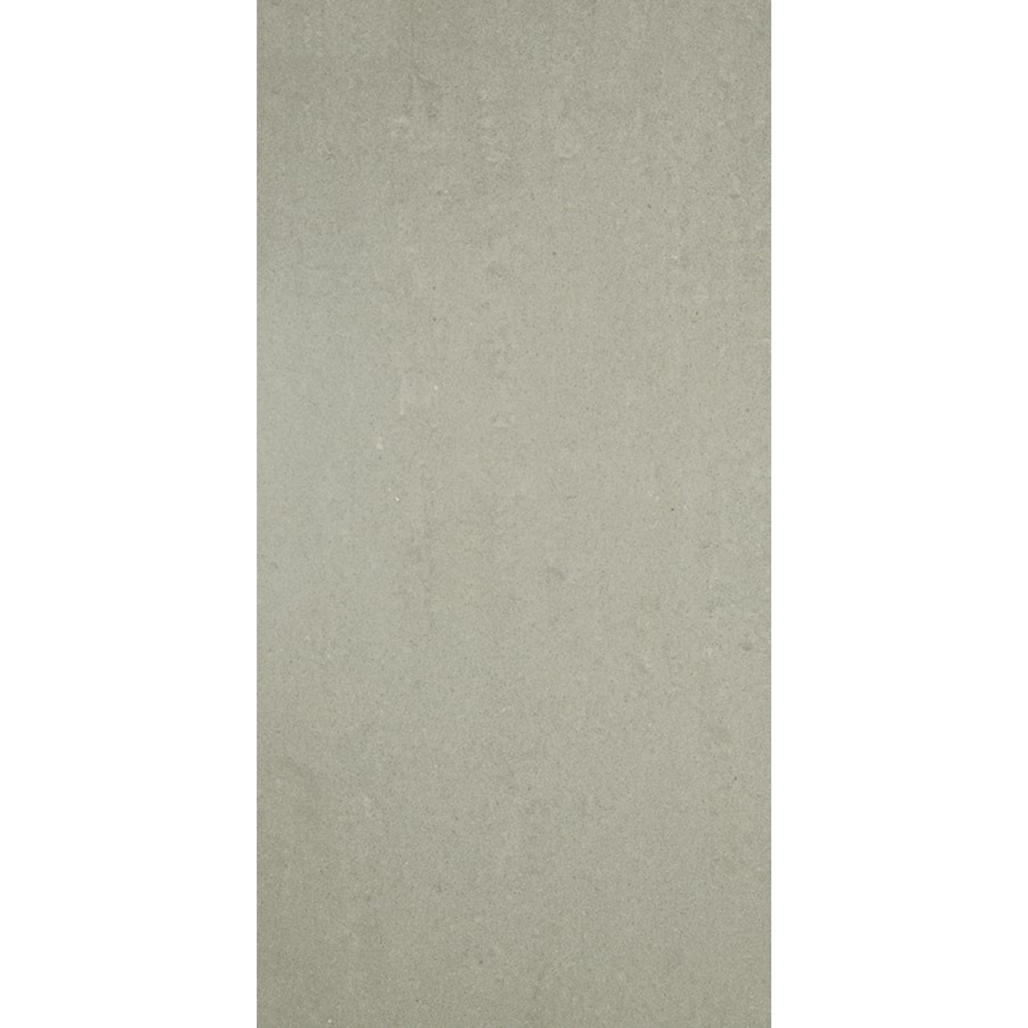 EVERSTONE DURASTONE ASH GREY MATTE 600X300MM RECTANGULAR TILE (PER BOX)