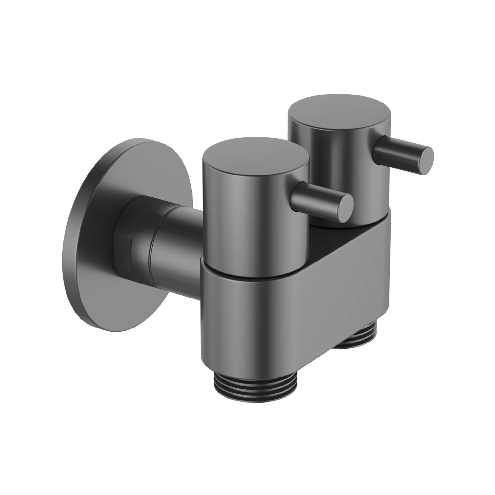 AMOZA DUAL CISTERN TAP GUN METAL