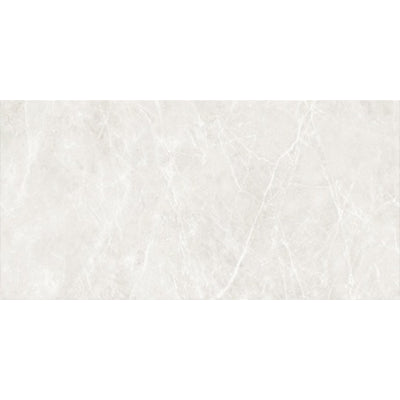 EVERSTONE ALPHINE GLACIER MATTE 600X300MM RECTANGULAR TILE (PER BOX)