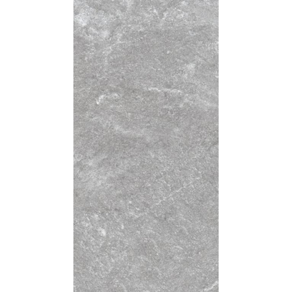 MUSES QUARTZITE GRIGIO FELLTEC 300X600MM RECTANGULAR TILE (PER BOX)