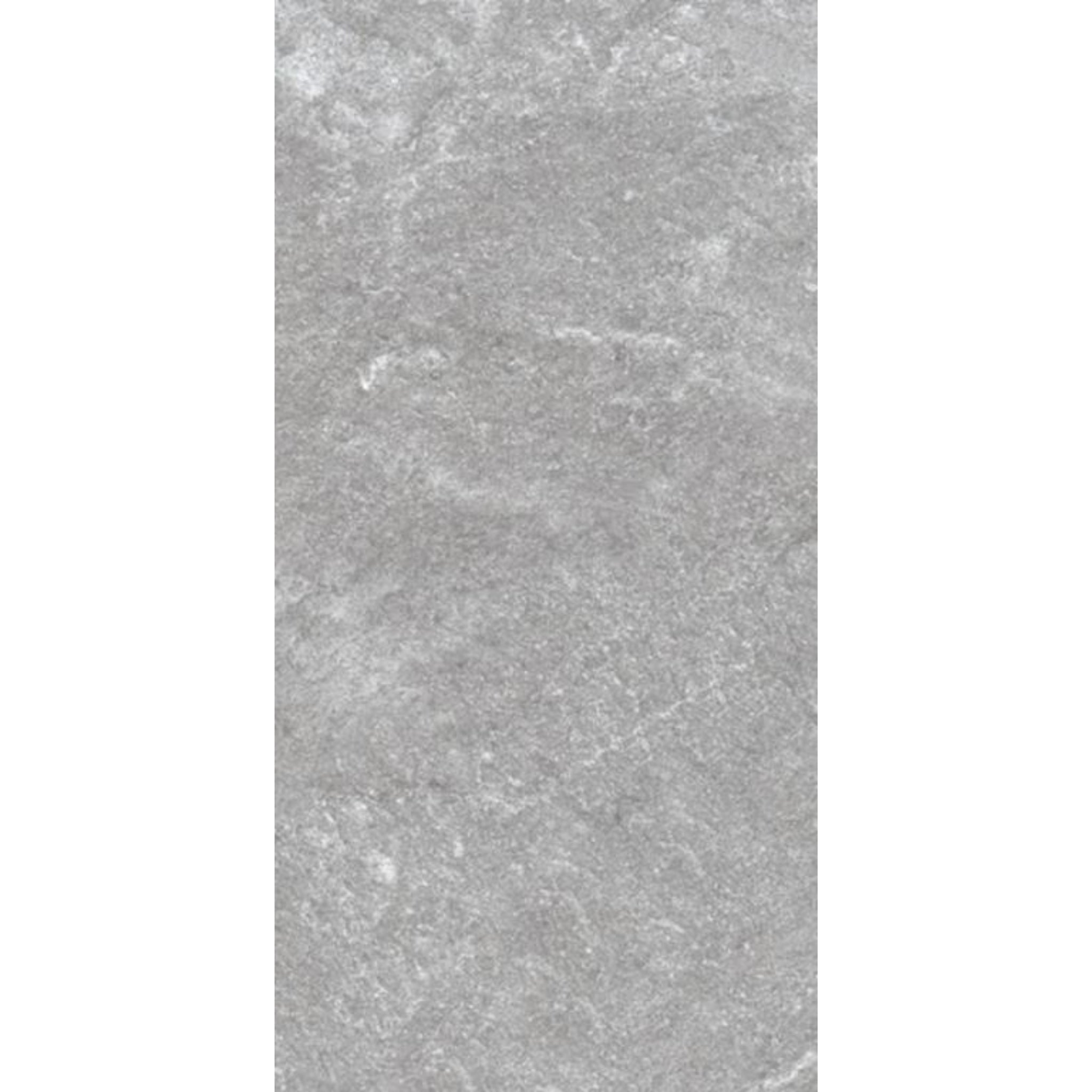 MUSES QUARTZITE GRIGIO FELLTEC 300X600MM RECTANGULAR TILE (PER BOX)