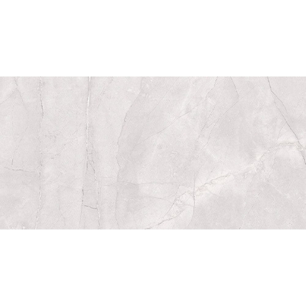 EVERSTONE EUROMARMO ICE GREY MATTE 600X300MM RECTANGULAR TILE (PER BOX)