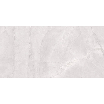 EVERSTONE EUROMARMO ICE GREY MATTE 600X300MM RECTANGULAR TILE (PER BOX)