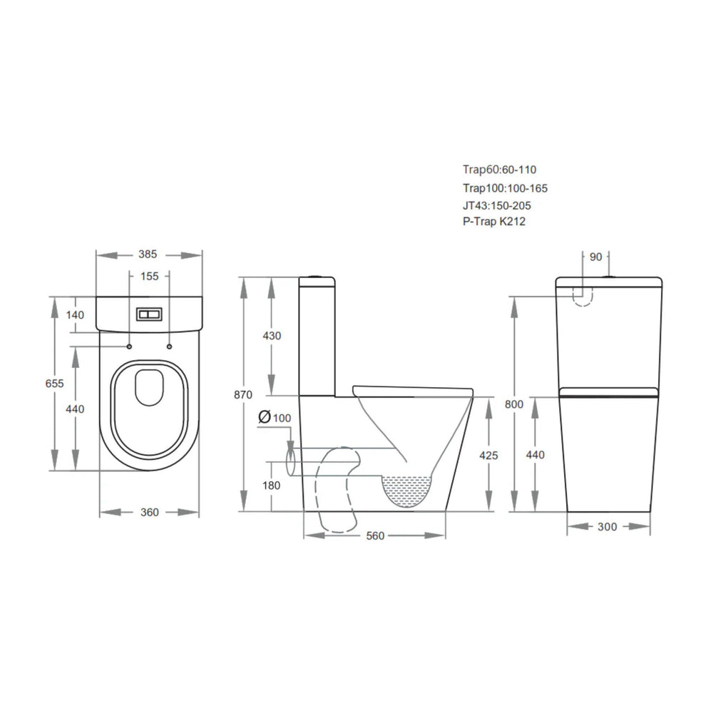 POSEIDON AVIS RIMLESS BACK TO WALL TOILET SUITE MATTE BLACK