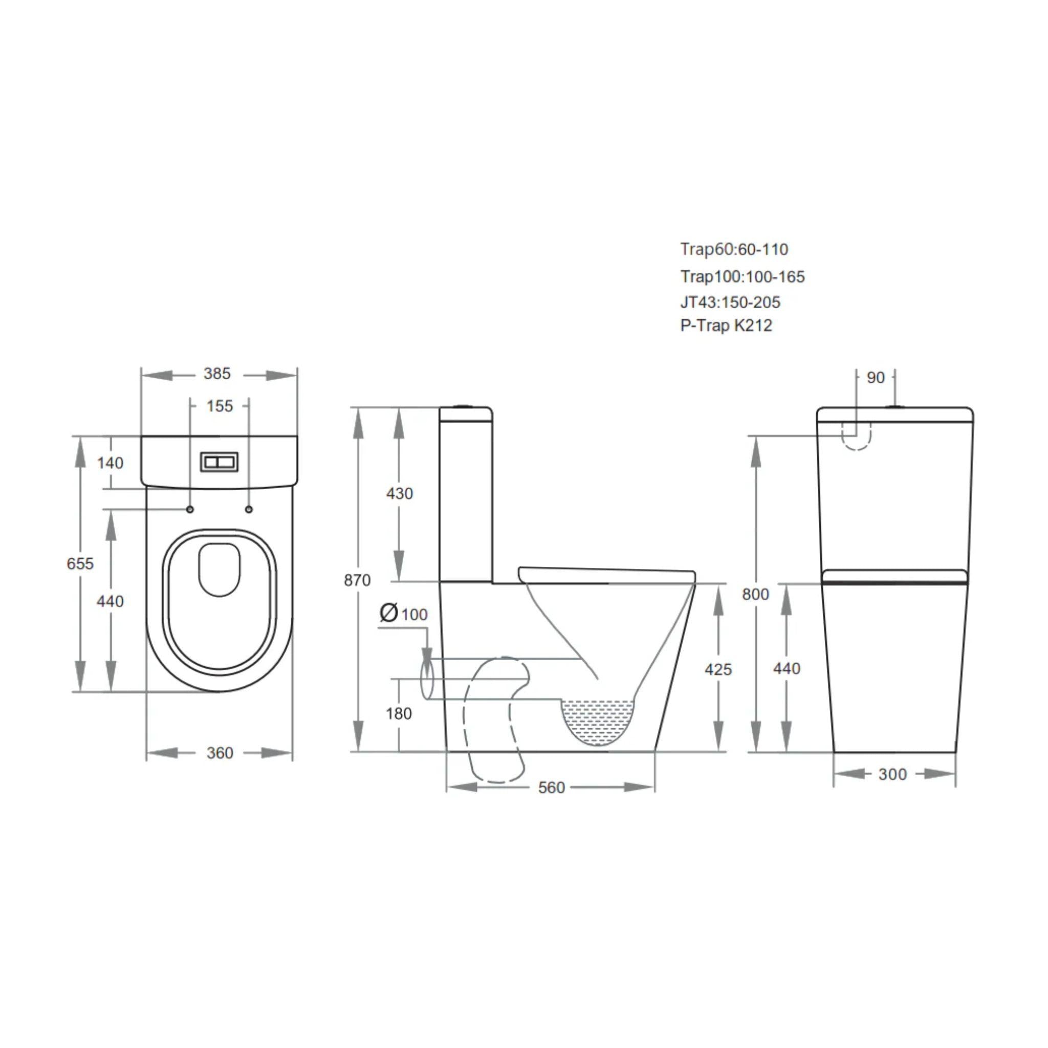 POSEIDON AVIS RIMLESS BACK TO WALL TOILET SUITE MATTE BLACK