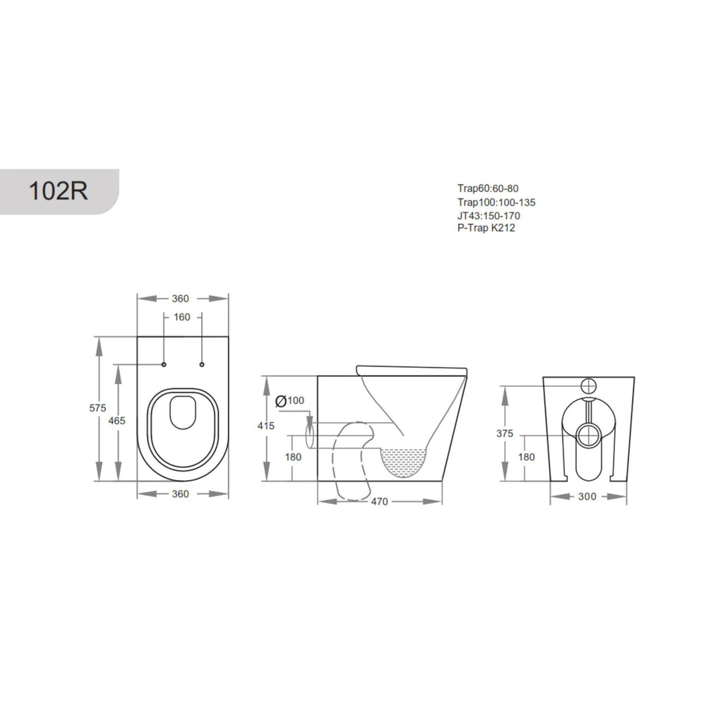 POSEIDON AVIS RIMLESS WALL FACED FLOOR PAN MATTE BLACK