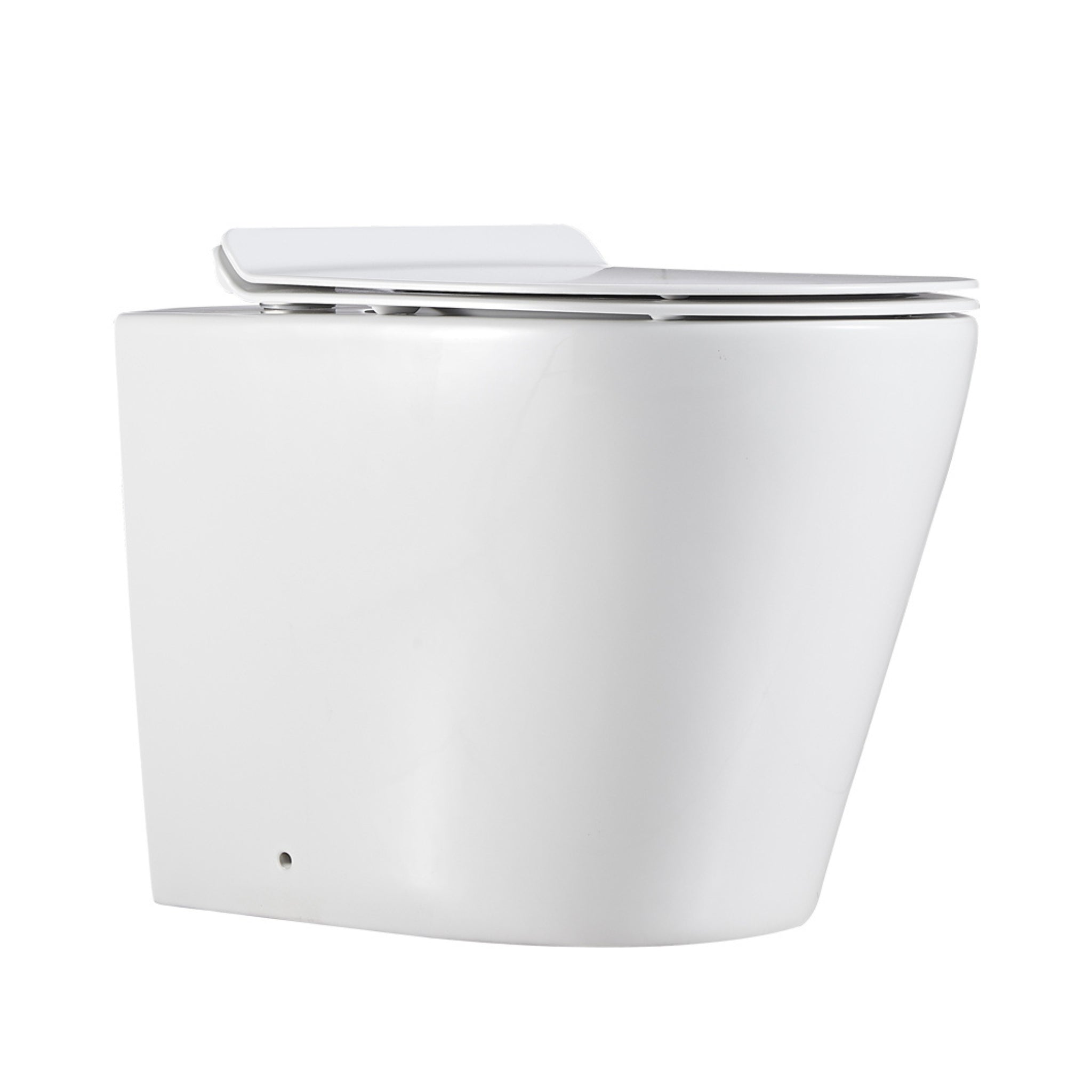 LUKKA AGENA RIMLESS WALL FACED FLOOR PAN GLOSS WHITE