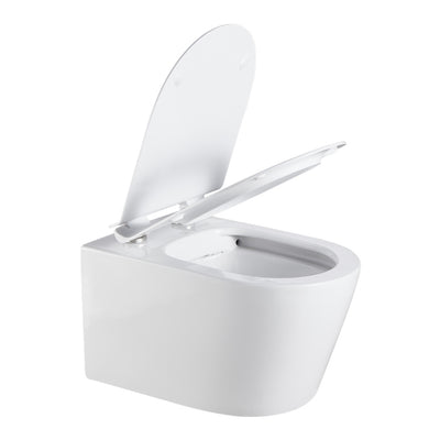 LUKKA AGENA RIMLESS WALL HUNG PAN WHITE