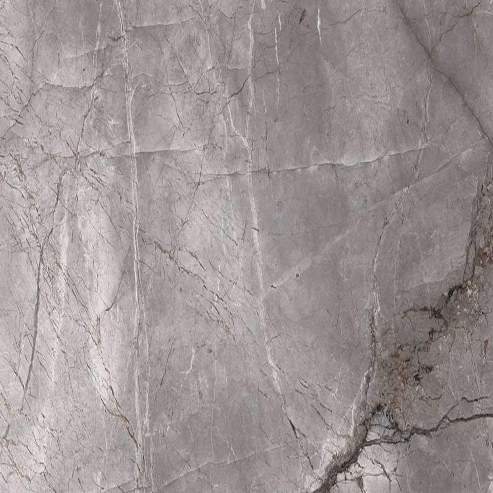 MUSES SILVER ROOT LIGHT GREY POLISHED TILE SAMPLE (1PC)