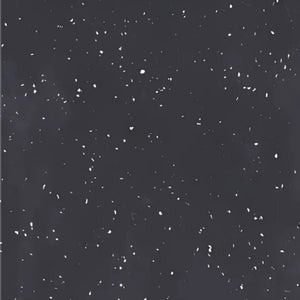 PIETRA BIANCA LIQUORICE STONE SAMPLE
