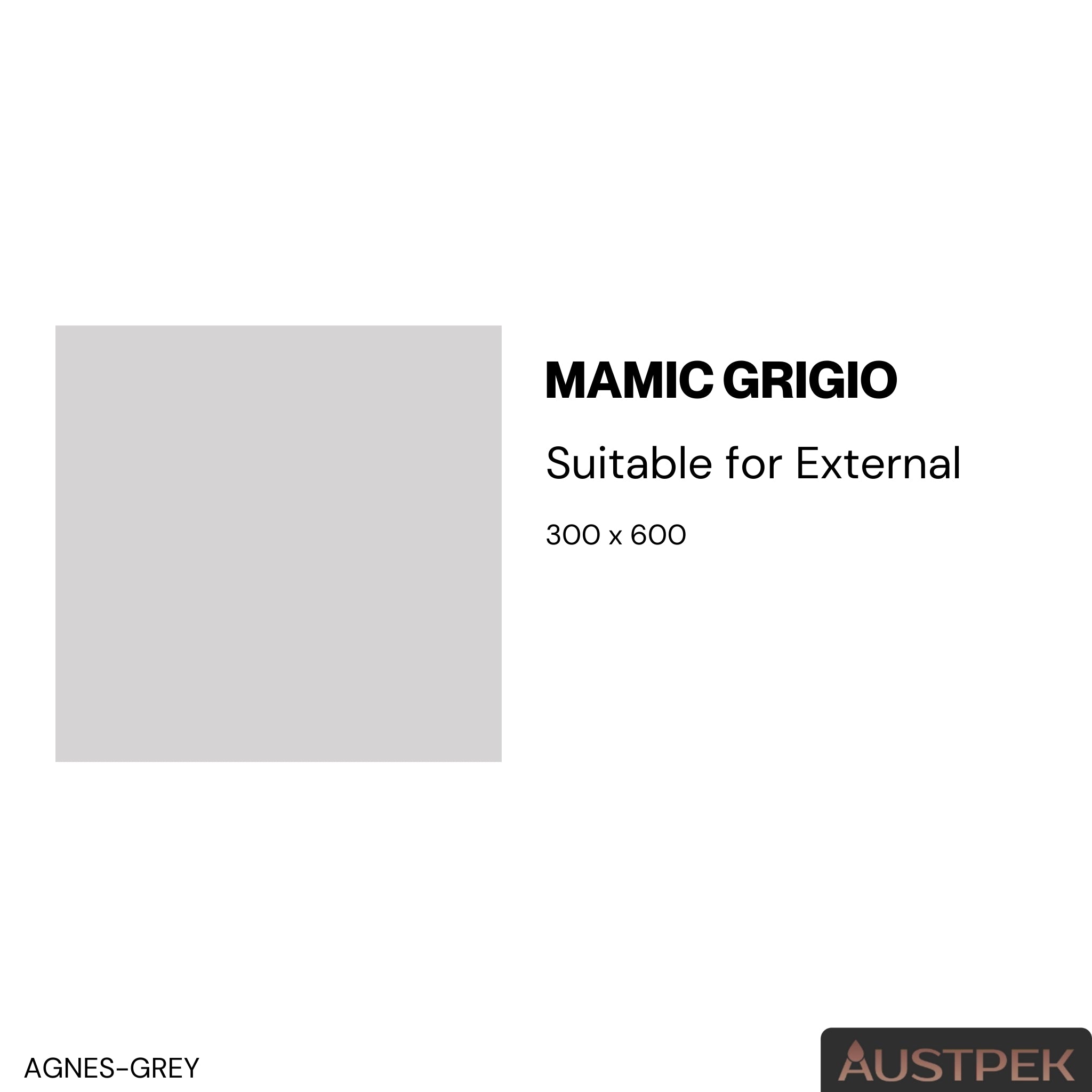 ELITE IMPORTERS MAMIC GRIGIO GLOSSY 300X600MM RECTANGULAR TILE (PER BOX)