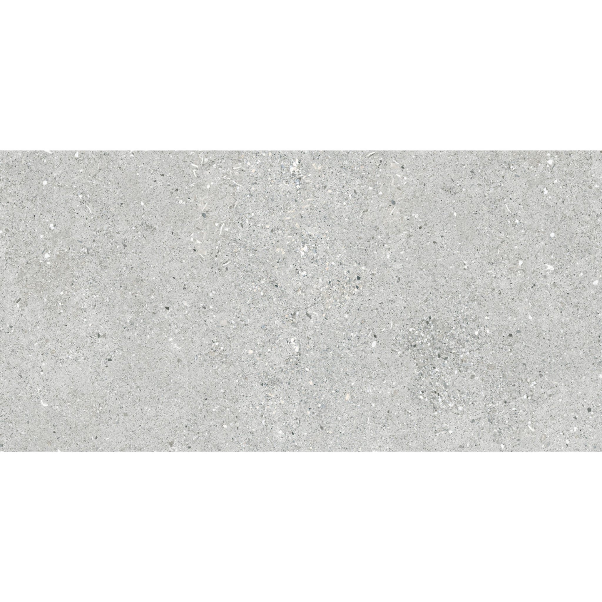 ELITE IMPORTERS MYERS CLASSIC GREY CRYSTAL MATTE 300X600MM RECTANGULAR TILE (PER BOX)