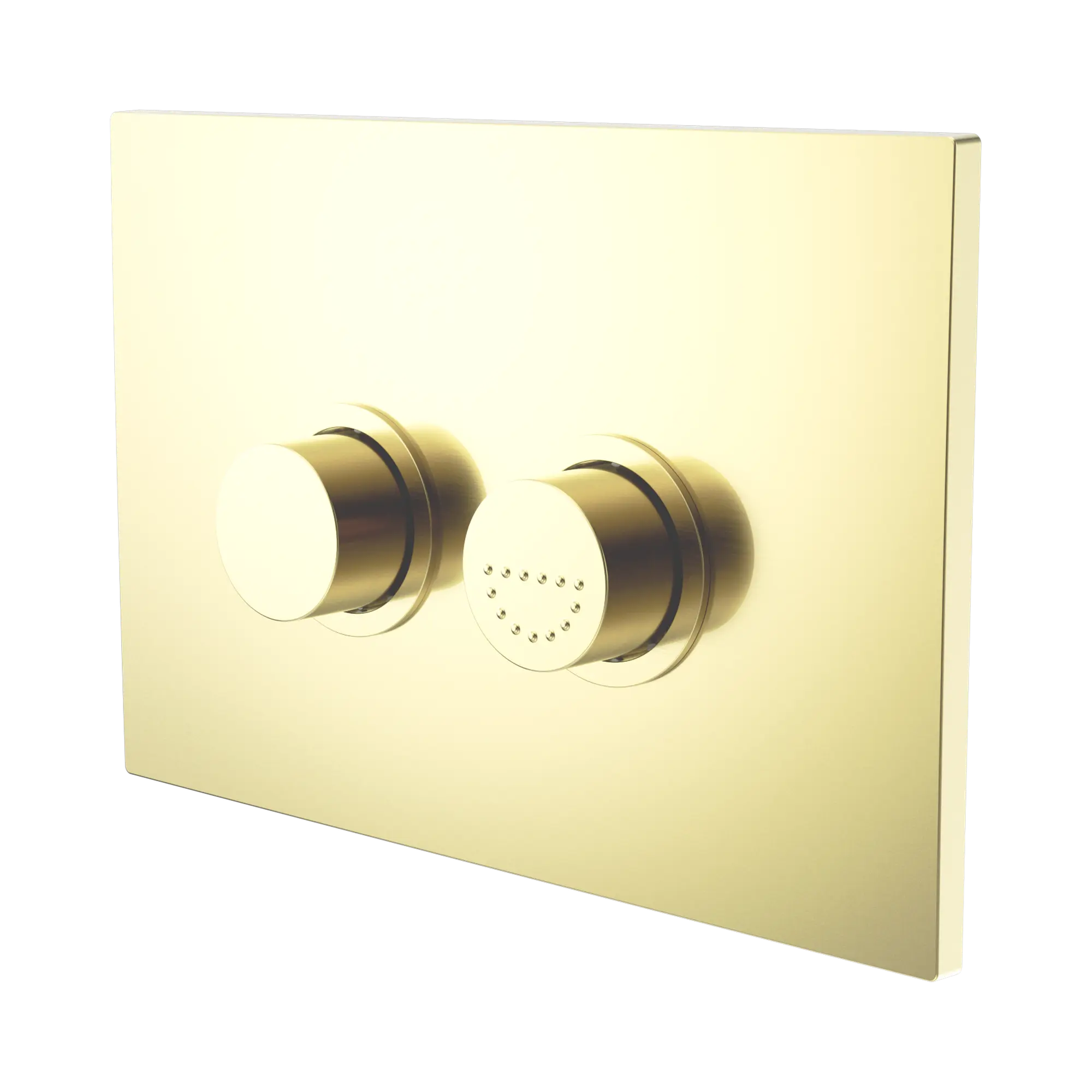 NERO MECCA CARE RAISED DISABLED CARE PNEUMATIC FLUSH BUTTONS PLATE DDA ACCESSIBLE TOILET COMPLIANT 245MM BRUSHED GOLD