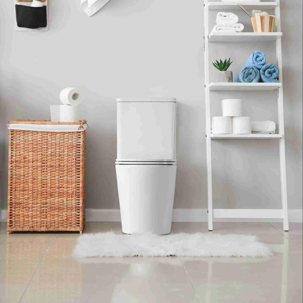 MERCIO PANI RIMLESS BACK TO WALL TOILET SUITE GLOSS WHITE