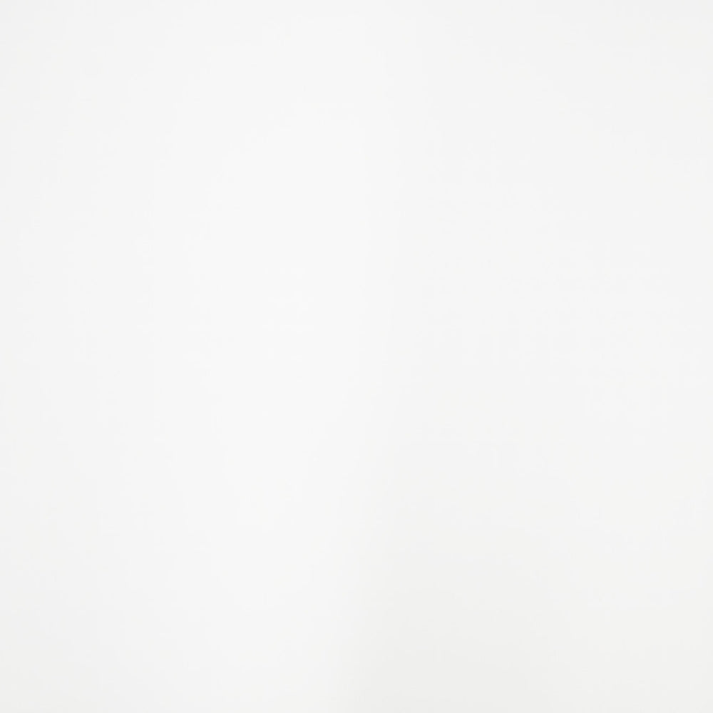FIENZA PURE WHITE SOLID SURFACE STONE SAMPLE