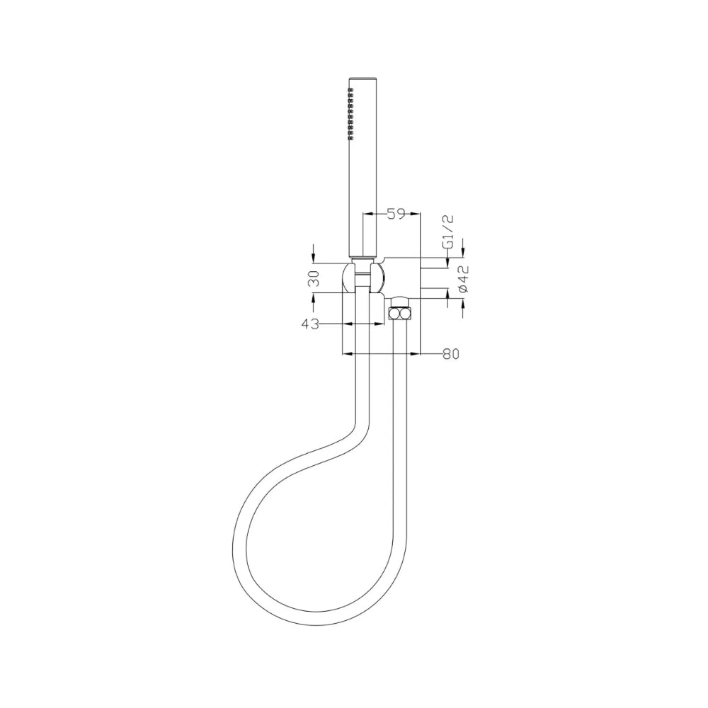 BELLA VISTA MICA HAND SHOWER LIVING BRASS