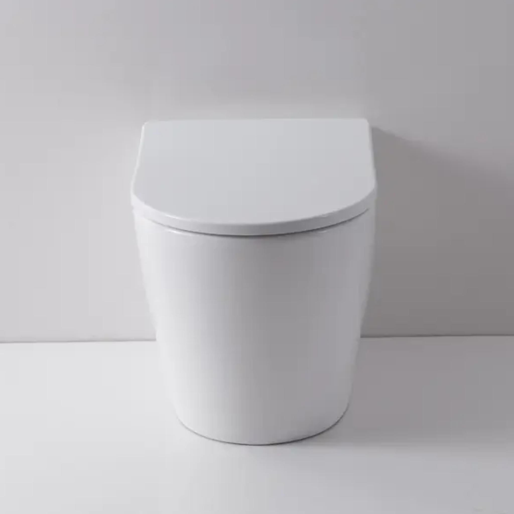 DECINA RENEE RIMLESS WALL FACED PAN & GEBERIT IN-WALL CISTERN TOILET SUITE