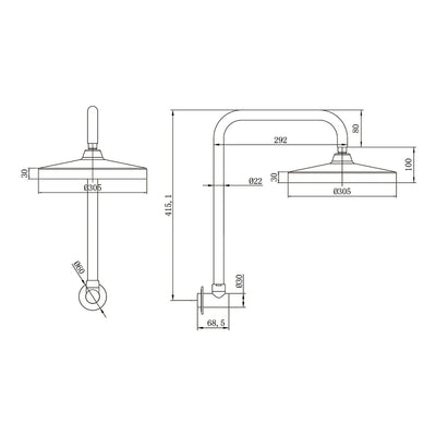 AMOZA GOOSENECK SHOWER ARM & HEAD 2 PACK 305MM BRUSHED GOLD