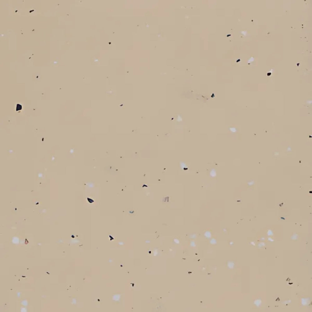 PIETRA BIANCA SAND STONE STONE SAMPLE