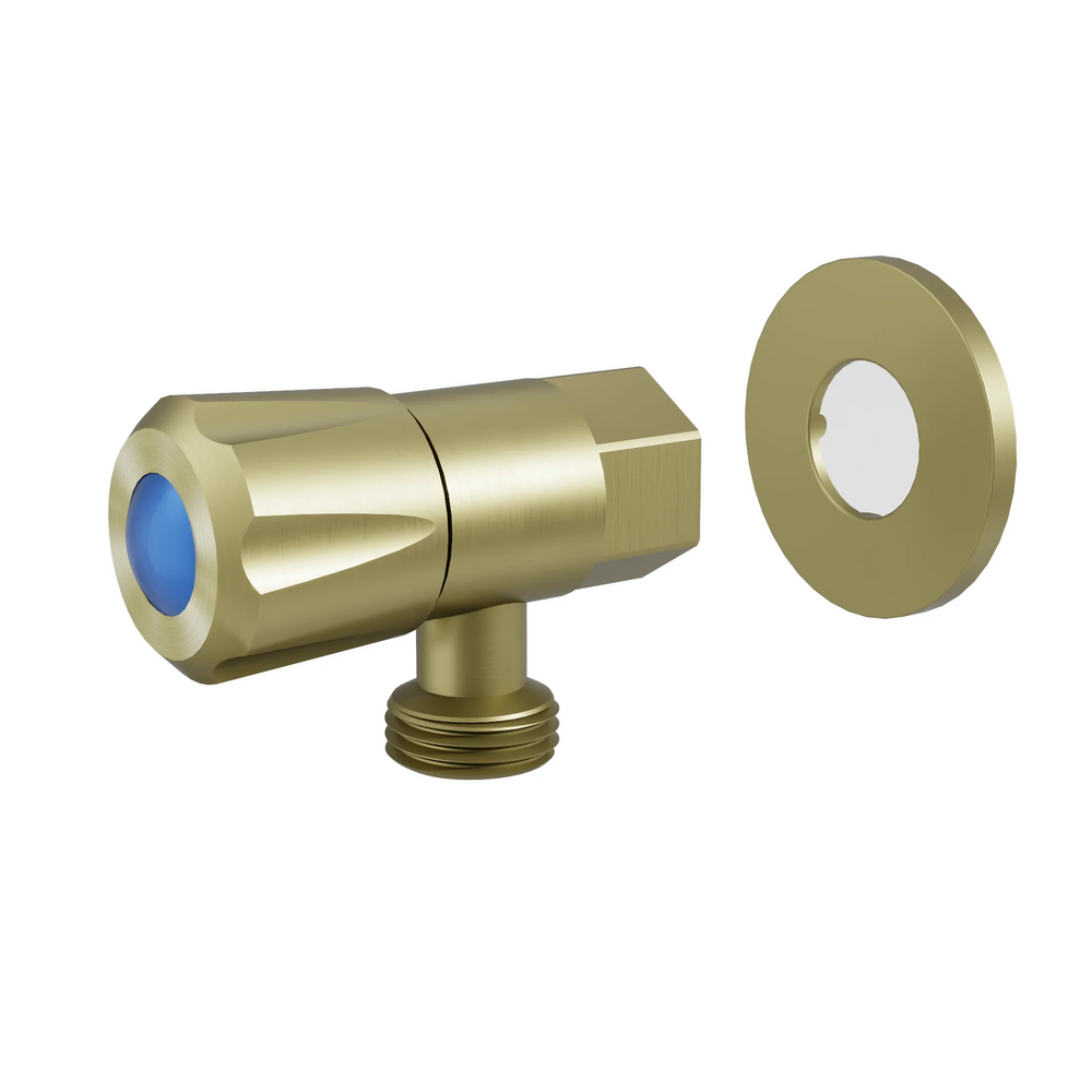 AMOZA LEAD FREE MINI CISTERN TAP WITH COVER PLATE BRUSHED GOLD