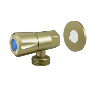 AMOZA WASHING MACHINE TAP WITH COVER PLATE BRUSHED GOLD