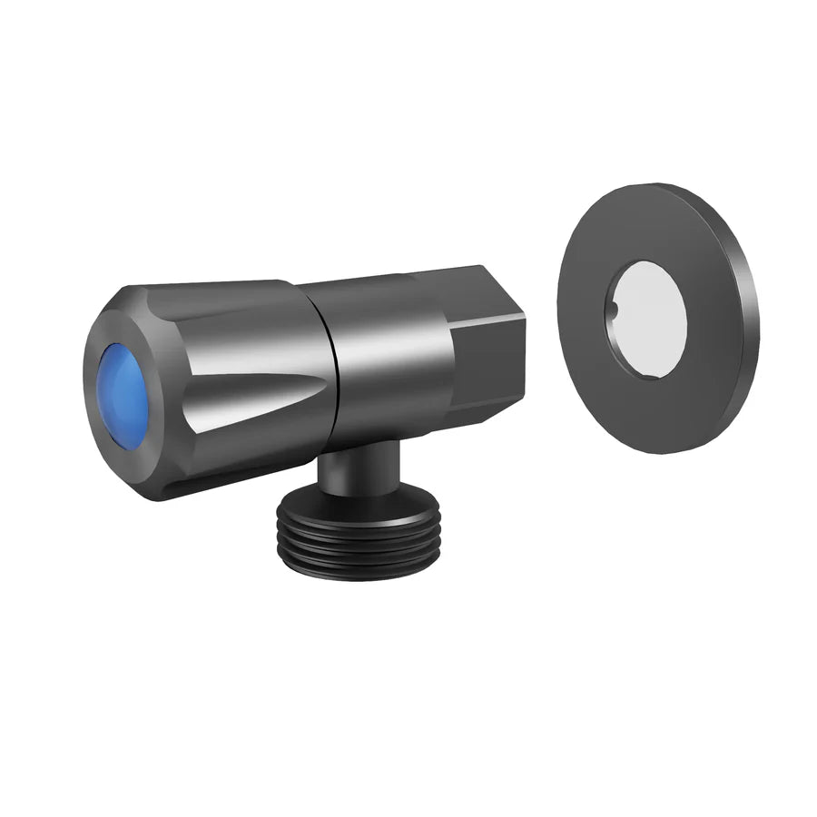 AMOZA WASHING MACHINE TAP WITH COVER PLATE GUN METAL