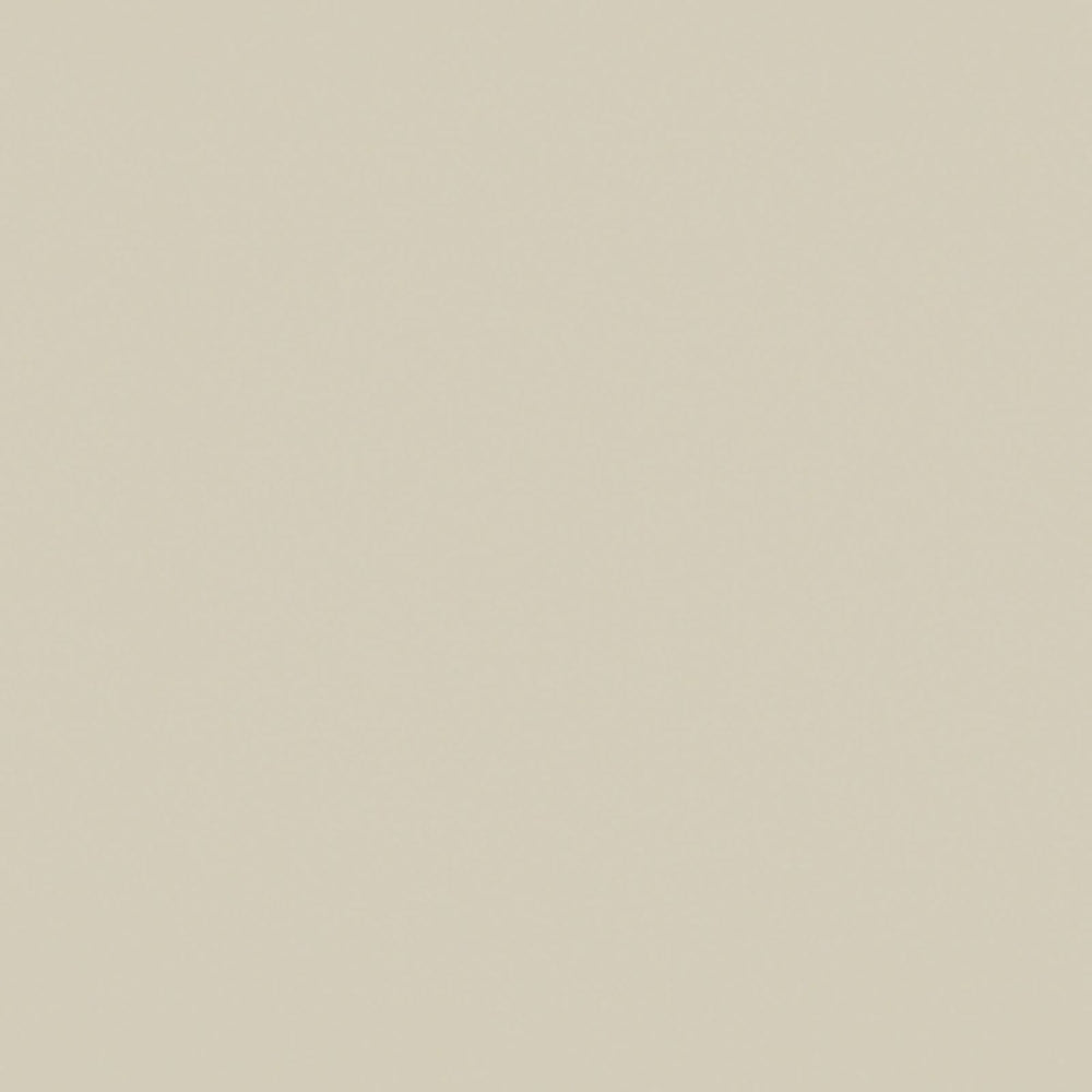 TIMBERLINE HOG BRISTLE® HALF SATIN CABINET SAMPLE