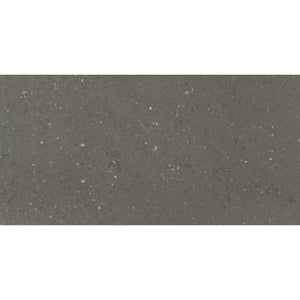 TIMBERLINE SILKSURFACE TERRAMOSS DOUBLE BOWL VANITY TOP