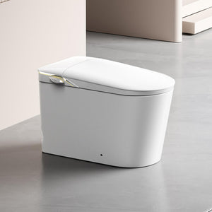 FLUVA U6 INTELLIGENT TOILET W/ AUTOFLUSH REMOTE CONTROLLED BIDET GLOSS WHITE