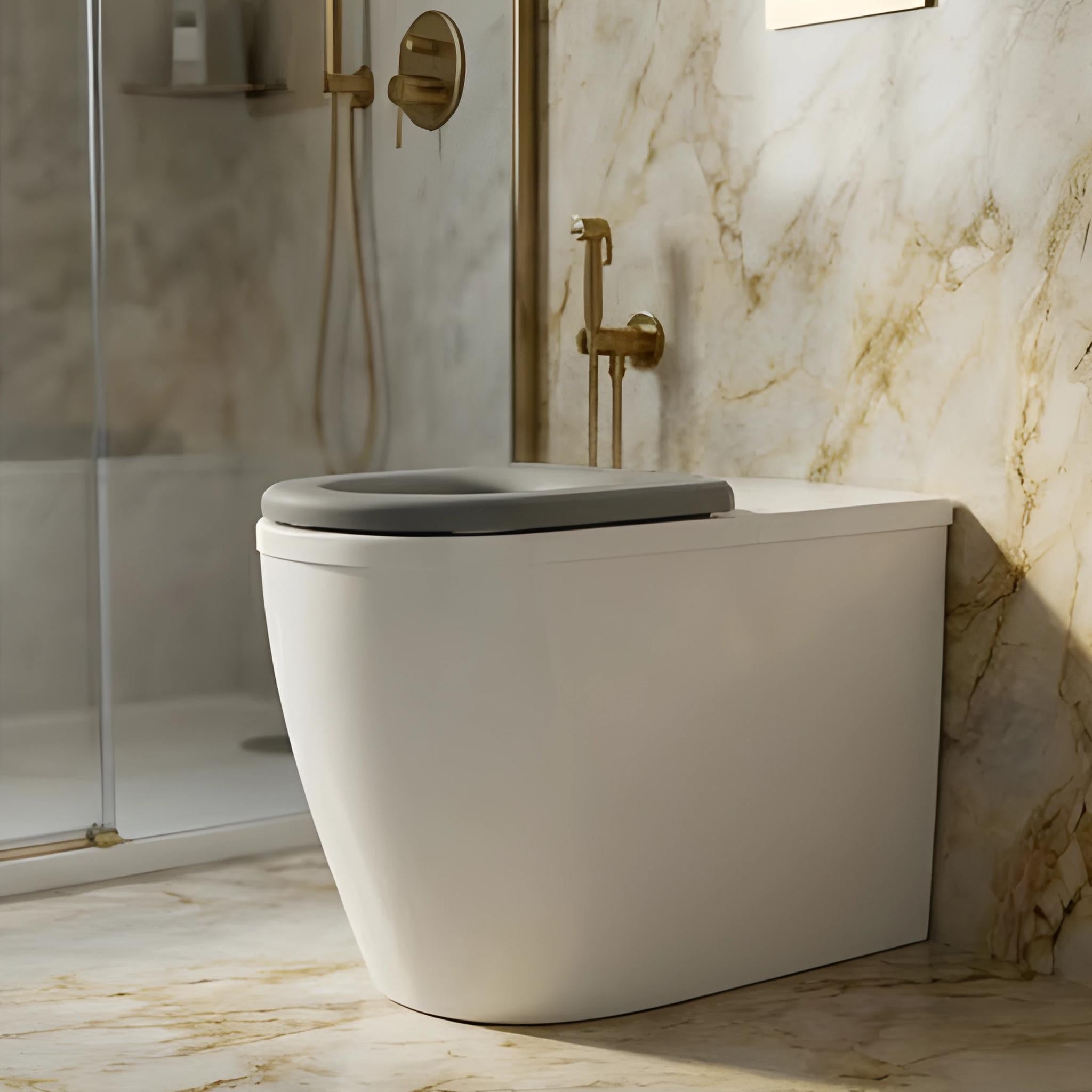 VITO EVIDA CARE WALL FACED TOILET PAN GLOSS WHITE WITH GREY SEAT