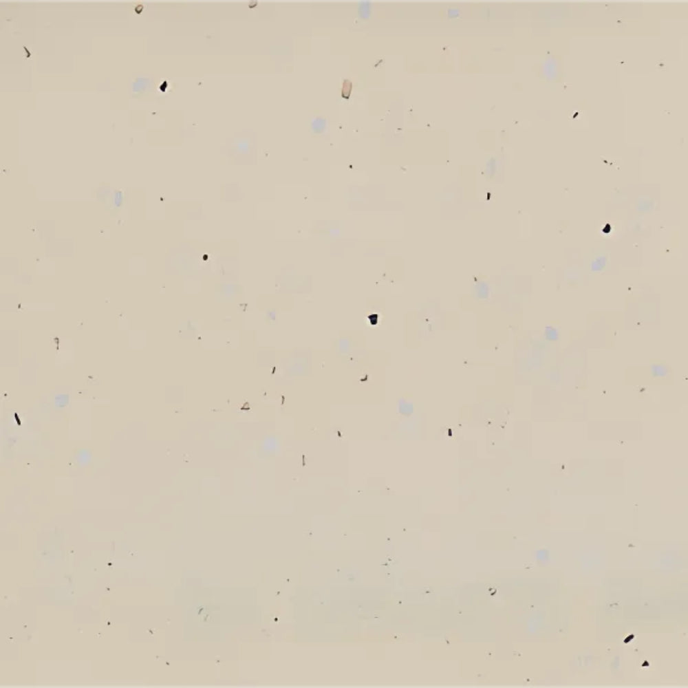 PIETRA BIANCA VANILLA BEAN STONE SAMPLE