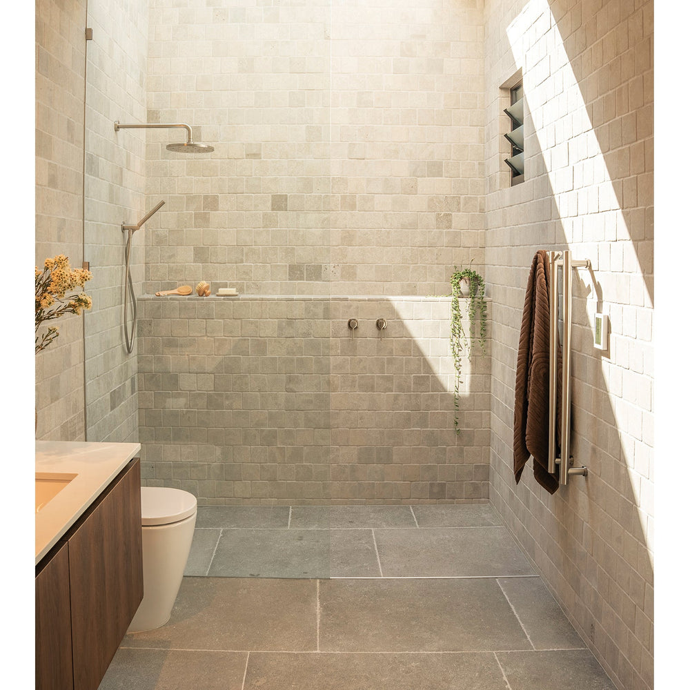 PHOENIX LUXEXP SHOWER ROSE 250MM BRUSHED NICKEL