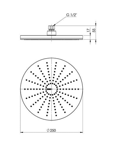 PHOENIX NX VIVE SHOWER ROSE 250MM CHROME