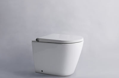 GALLARIA ALTA COMFORT RIMLESS WALL FACE PAN AND REMOTE BIDET PACKAGE GLOSS WHITE