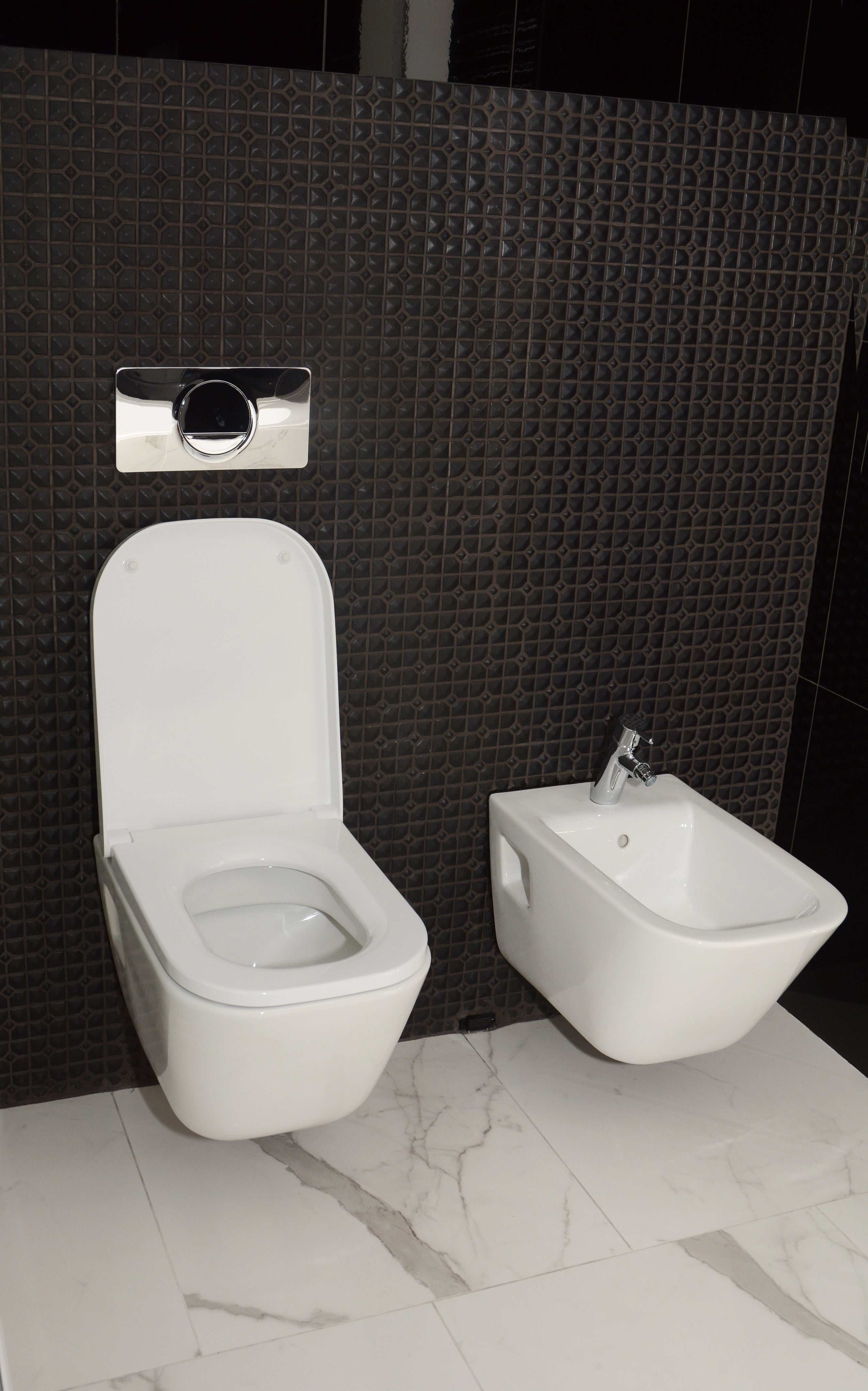 wall hung toilet