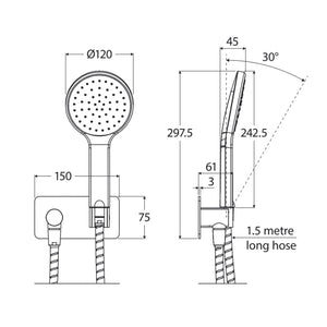 FIENZA KAYA HAND SHOWER BRUSHED NICKEL