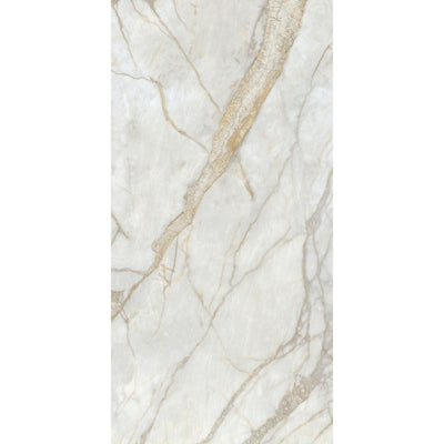 EVERSTONE MARINE NATURE NATURAL 1200X600MM RECTANGLE TILE (PER BOX)